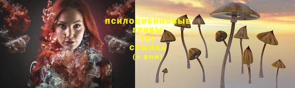 ECSTASY Армянск