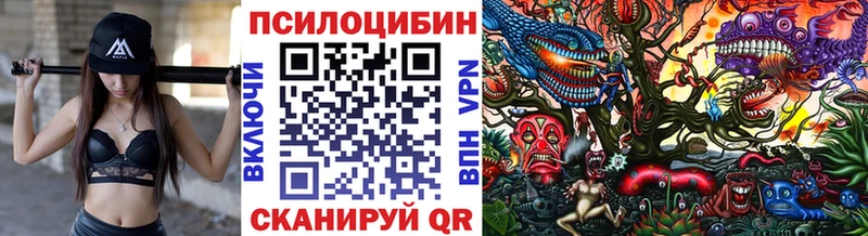 Галлюциногенные грибы MAGIC MUSHROOMS  продажа наркотиков  Сухой Лог 